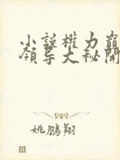 小说权力巅峰从领导大秘开始免费阅读