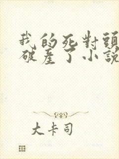 我的死对头终于破产了小说下载