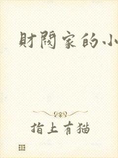 财阀家的小儿子