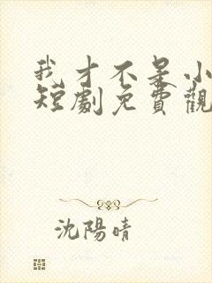 我才不是小可怜短剧免费观看全集