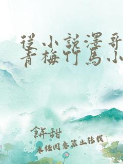 从小说泽哥哥的青梅竹马小说