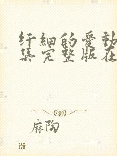 纤细的爱动漫全集完整版在线观看