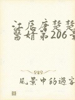 江辰唐楚楚龙王医婿第206章