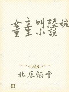 女主叫陆婉婉的重生小说