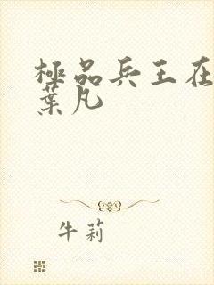 极品兵王在都市叶凡