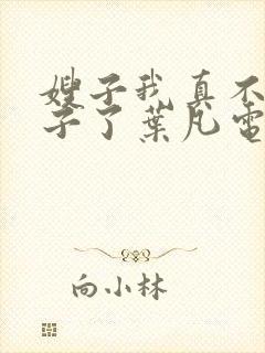 嫂子我真不是傻子了叶凡电子书完整版