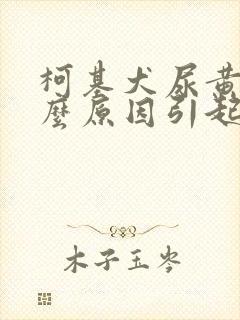 柯基犬尿黄是什么原因引起的