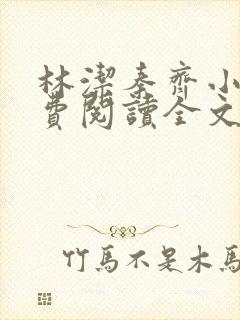 林洁秦齐小说免费阅读全文最新章节