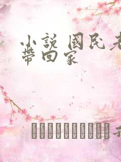 小说 国民老公带回家