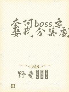 奈何boss要娶我分集剧情