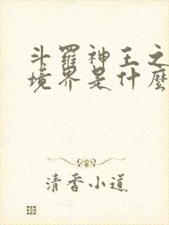 斗罗神王之上的境界是什么