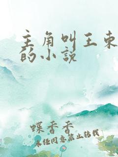 主角叫王东唐潇的小说