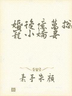 婚后亿万总裁独宠小娇妻