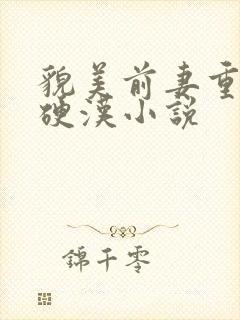 貌美前妻重生嫁硬汉小说