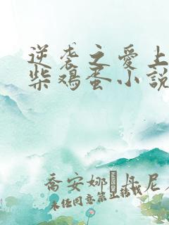 逆袭之爱上情敌柴鸡蛋小说在线观看