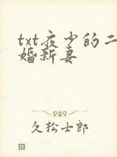 txt夜少的二婚新妻