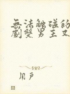 无法触碰的爱日剧双男主又名什么