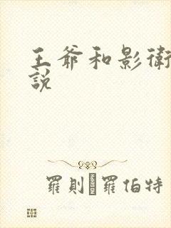 王爷和影卫的小说