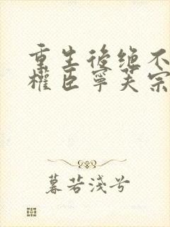 重生后绝不嫁给权臣宁芙宗肆大结局