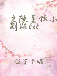 良陈美锦小说未删版txt