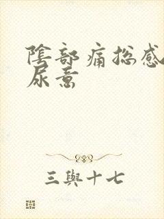 阴部痛总感觉有尿意