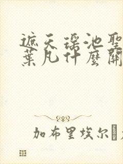 遮天瑶池圣女和叶凡什么关系