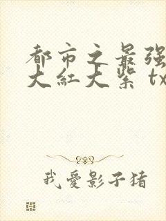 都市之最强狂兵大红大紫 txt