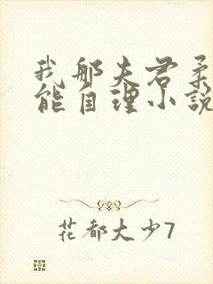 我那夫君柔弱不能自理小说