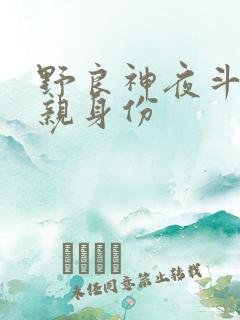 野良神夜斗的父亲身份