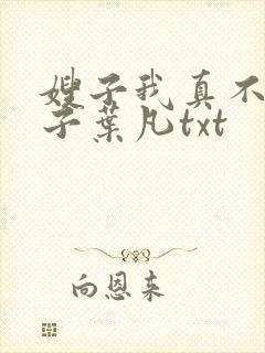 嫂子我真不是傻子叶凡txt