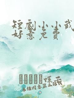 短剧小小武神不好惹免费