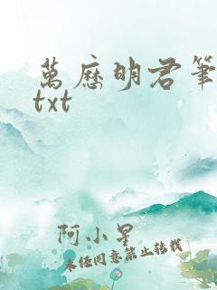 万历明君笔趣阁txt