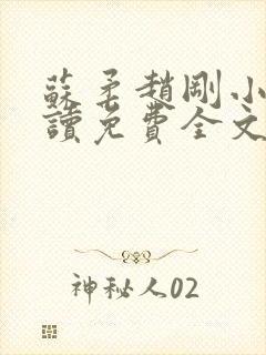 苏柔赵刚小说阅读免费全文