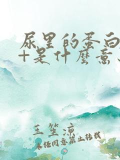 尿里的蛋白质3+是什么意思