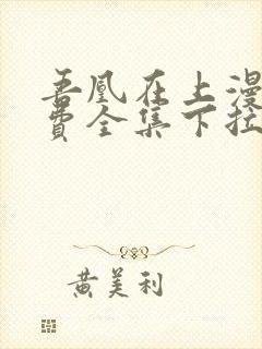 吾凰在上漫画免费全集下拉式漫画