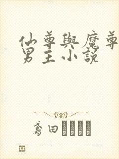 仙尊与魔尊的双男主小说