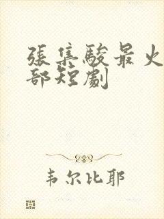 张集骏最火的5部短剧