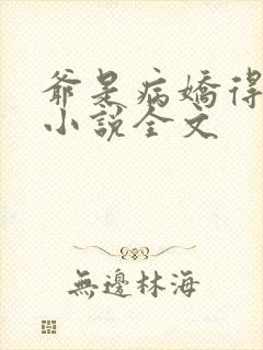 爷是病娇得宠着小说全文