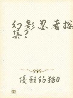 幻影忍者总共几集?