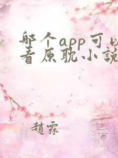 哪个app可以看原耽小说