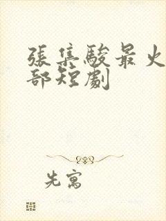 张集骏最火的5部短剧