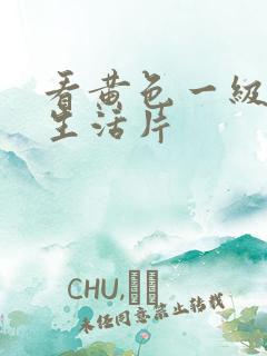 看黄色一级夫妻生活片