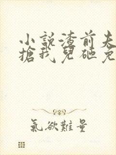 小说渣前夫总想抢我儿砸免费阅读