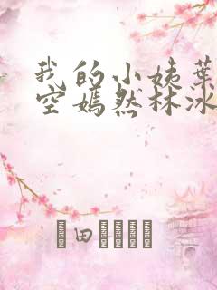我的小姨叶凡司空嫣然林冰