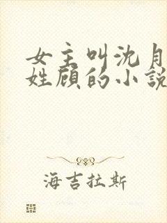 女主叫沈月男主姓顾的小说