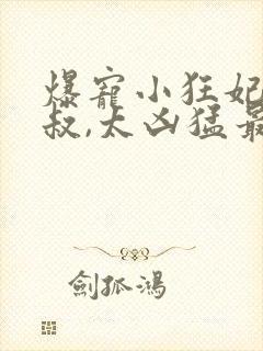 爆宠小狂妃:皇叔,太凶猛最新章节