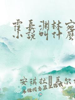 霍长渊林宛白的小说叫什么名字