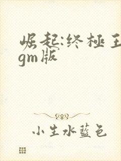 崛起:终极王者gm版