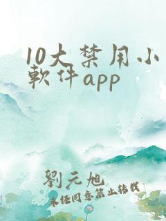 10大禁用小说软件app