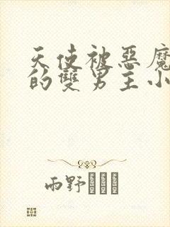 天使被恶魔囚禁的双男主小说